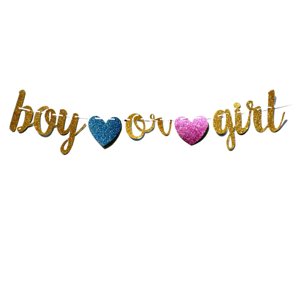 Boy Or Girl Glitter Banner for Gender Reveal Party, Lively & Co