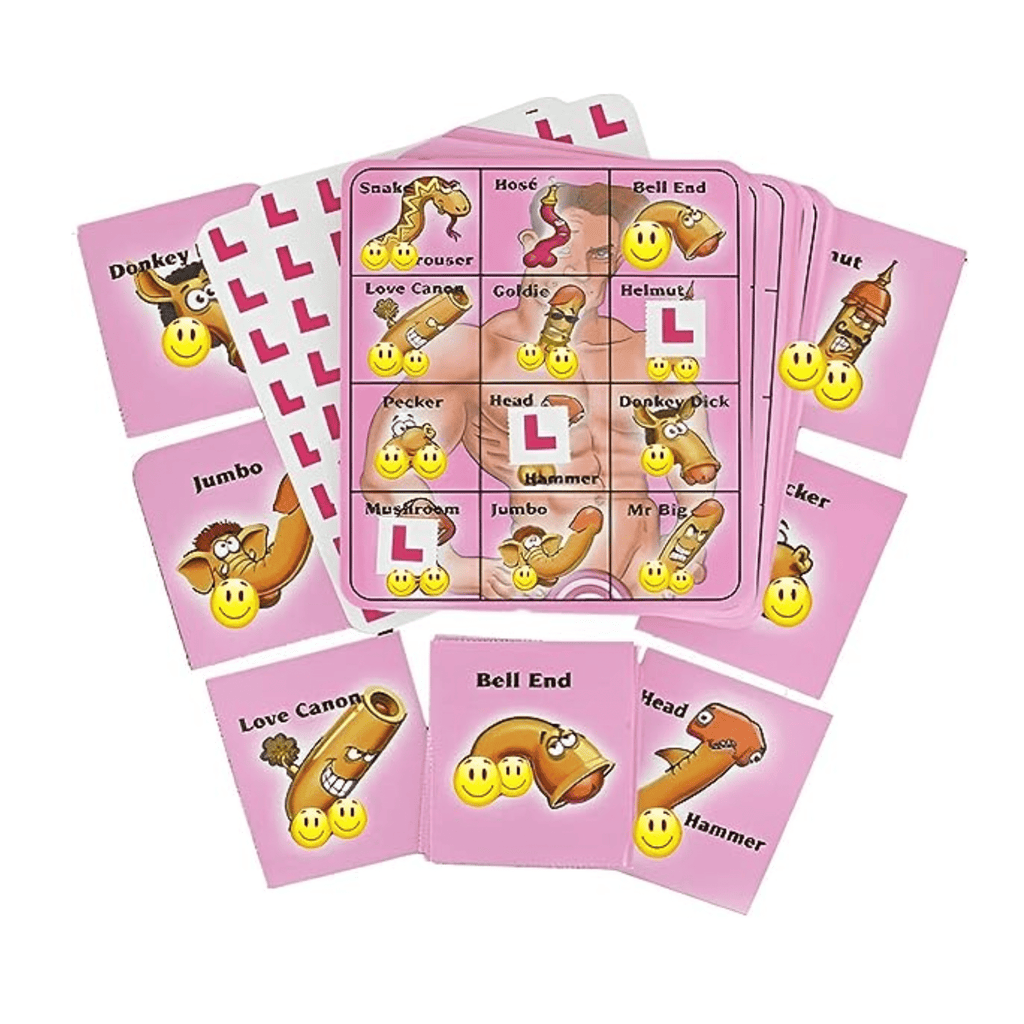 Willy Bingo Bachelorette Party Game NEW Lively & Co 