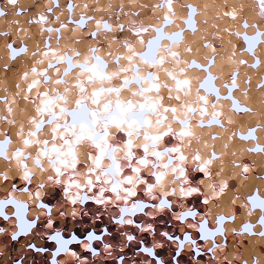 Rose Gold Circle Confetti Pieces