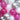 Fuchsia, Silver & White 5" Balloon Set