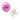NZ hen party balloons